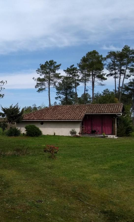Maison Confortable Avec Terrasse En Bois Au Calme Sans Vis A Vis , 2 Chambres, Sur Un Parc De 4000M2 Arbore Et Clos Pissos 外观 照片
